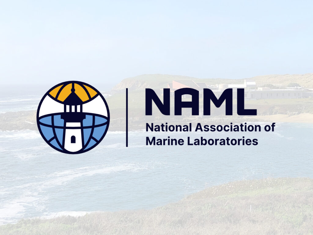 NAML Event