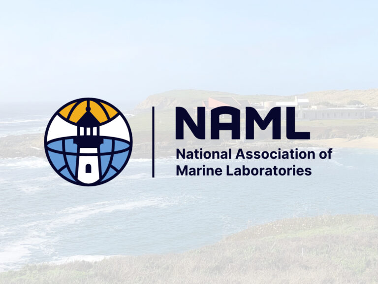 NAML Event