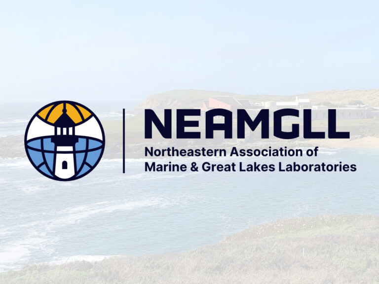 NEAMGLL Event