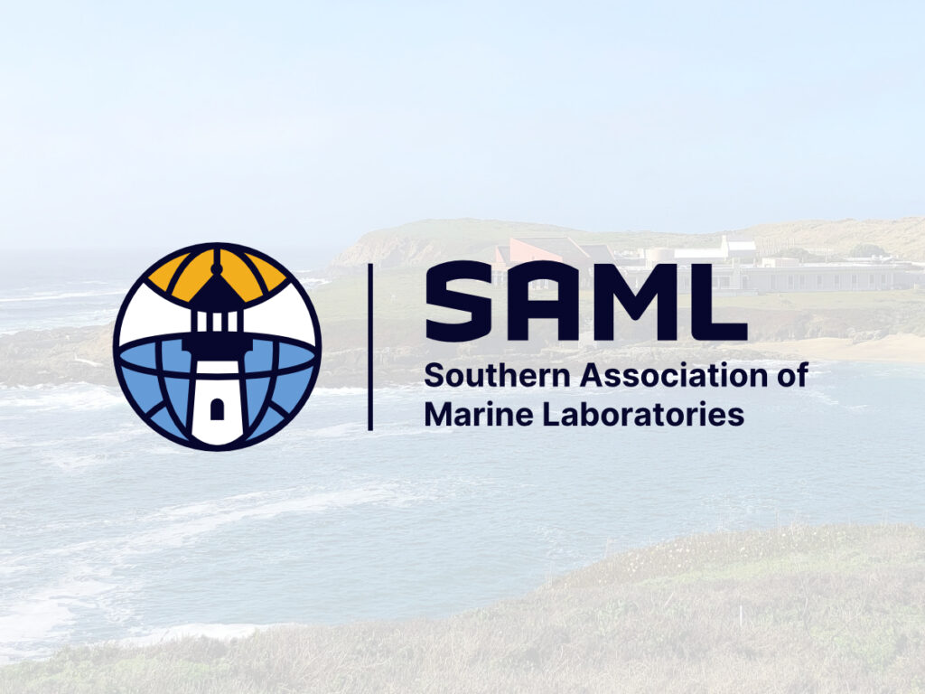 SAML Event