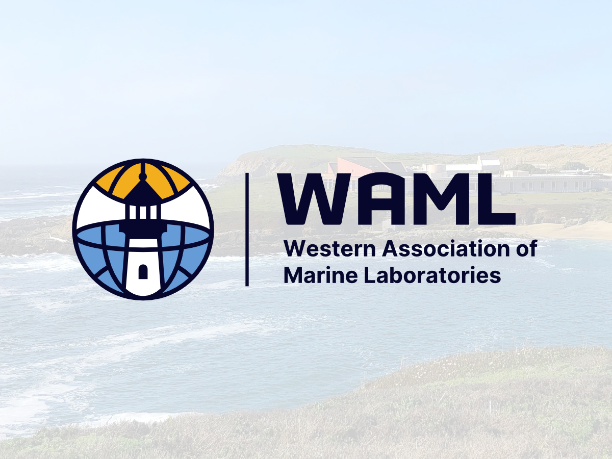 WAML Event